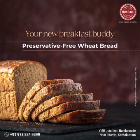 477023069_950059060555883_3744329101746200827_n