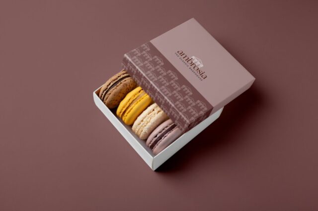 WhatsApp Image 2026-03-04 at 7.46.37 PM